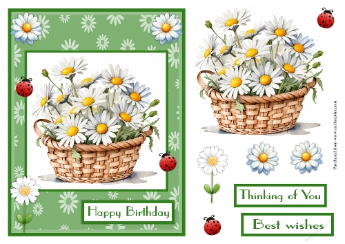 Daisies flowers in a basket greeting card