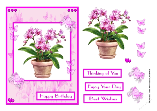 Orchid in vase birthday greeting card