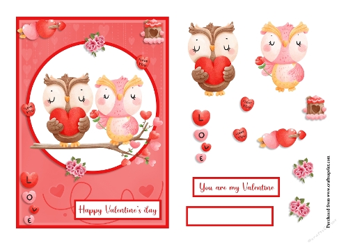 Valentines day Owls couple greeting card