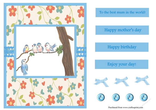 Mothers day or birthday greeting card with birds