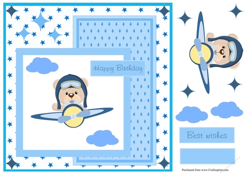 Birthday boy greeting card with a bear flying on a plane