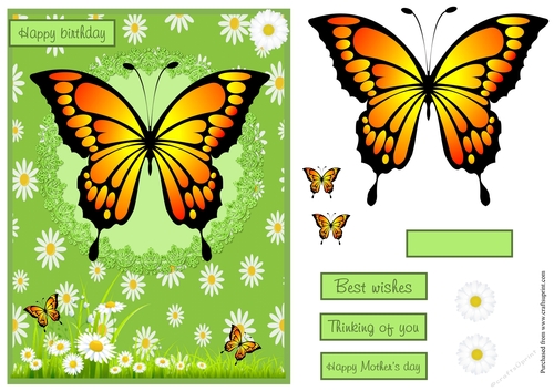Monarch butterfly birthday greeting card