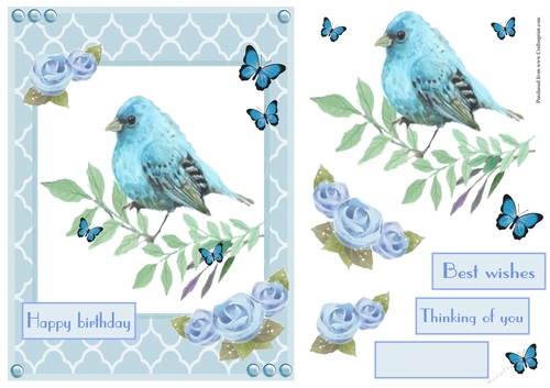 Birthday greeting card with bird image