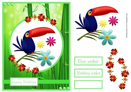 Birthday greeting card with toucan inage