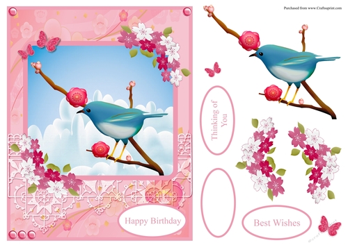 Birthday greeting card with a blue bird in pink background