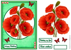 Poppies birthday greeting card