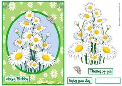 Daisies birthday greeting card