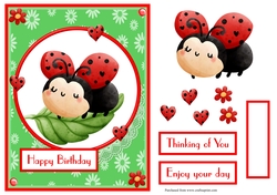 Ladybug birthday greeting card