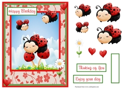 Ladybugs and mushrooms birthday greeting card