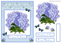 Hydrangeas birthday greeting card