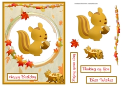 Squirrel birthday greeting card