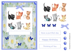 Have a purrrfect day greeting card with kittens for birthday and other occasions