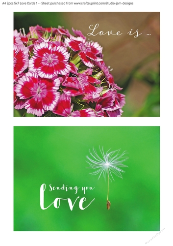 2pcs 5x7 Floral Cards with Quotes 2