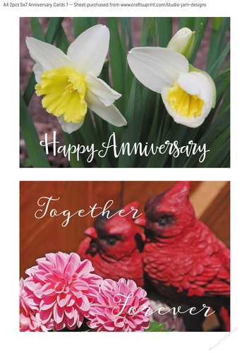 2pcs 5x7 Floral Anniversary Cards