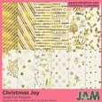 12x12 Christmas Themed Gold Foil Papers 1