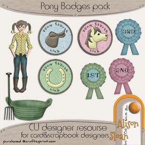 Cu Pony Club Badges & Doodles