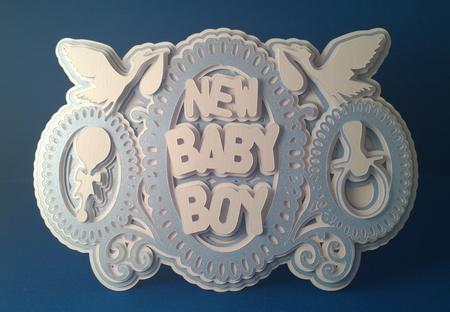 New Baby Boy