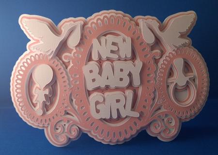 New Baby Girl