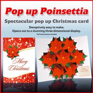 Poinsettia Pop Up