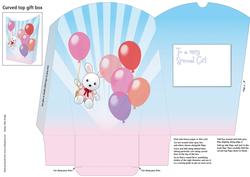Special Girl Gift Box