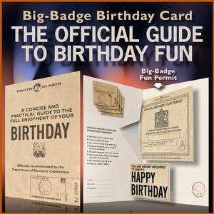 The Official Guide to Birthday Fun