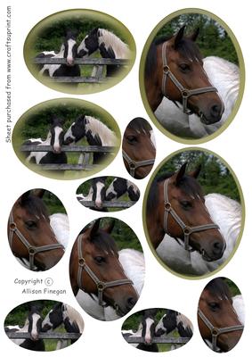 Horses in Ovals