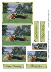 Highland Cattle Pyramid