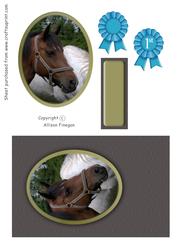 Blue Ribbon Material