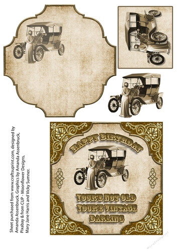 Sepia Vintage Car and lady Birthday Card