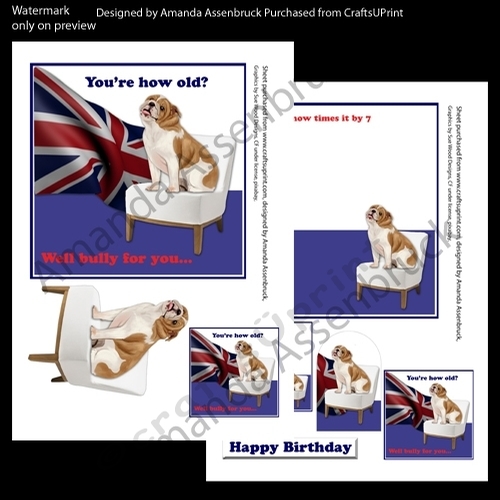 Bully for You Birthday Kit 1