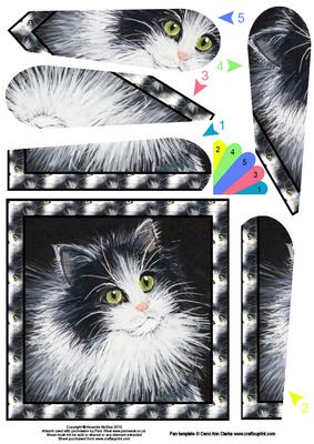 Sam the Cat Fan Pyramage