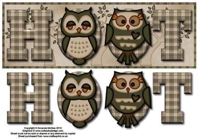 Owls Hoot Large Dl Card Front with Decoupage