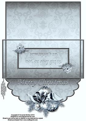 Silver Sparkle Money Wallet 2