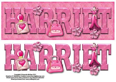 Pretty in Pink Harriet Large Dl Card Front with Decoupage