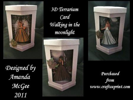 Walking in the Moonlight 3D Terrarium Card Kit