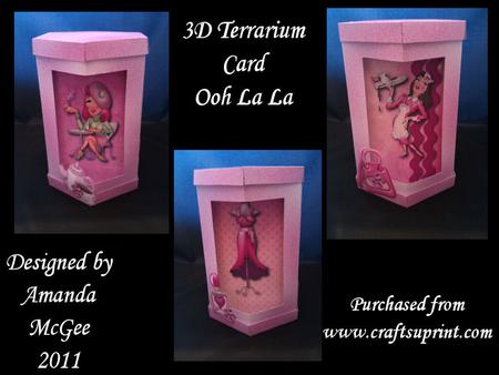 Ooh La La 3D Terrarium Card Kit