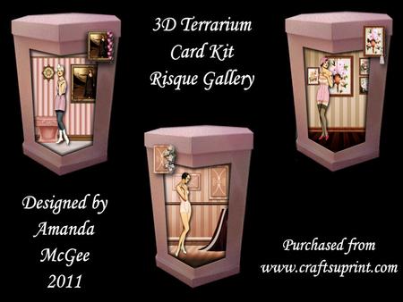 Risque Gallery 3D Terrarium Card Kit with Decoupage