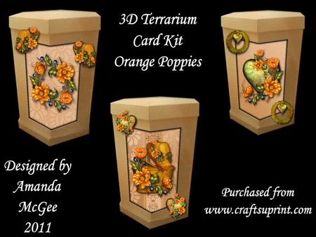 Orange Poppies 3D Terrarium Card Kit