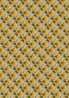 Golden Poinsettias and Lace Backing Paper