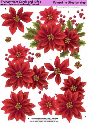 Poinsettia Step by Step