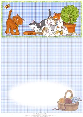 Crazy Katz Dl a Card in One