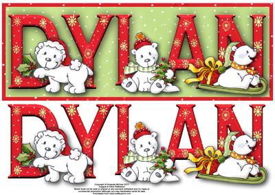 Polar Fun Dylan Large Dl Name Card with Decoupage