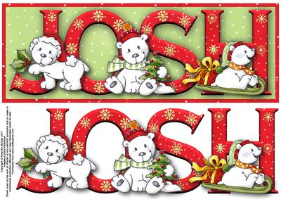 Playful Polar Bears Josh Large Dl Name Card