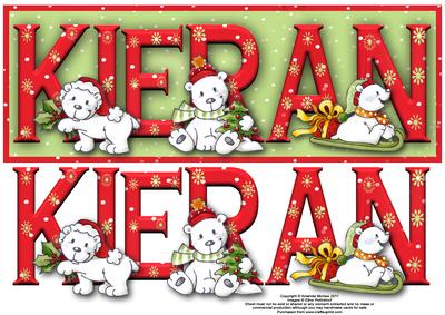 Polar Bear Friends Kieran Large Dl Name Card