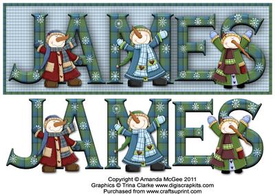 Snowman Fun James Large Dl Name Card