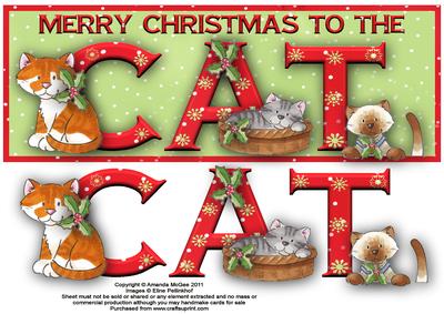 Merry Christmas to the Cat Large Dl Word Card