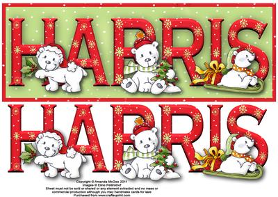 Polar Bear Friends Harris Large Dl Name Card