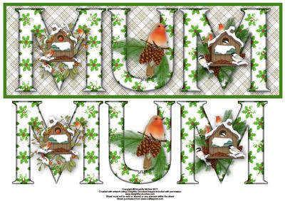 Christmas Robins Mum Large Dl Word Card