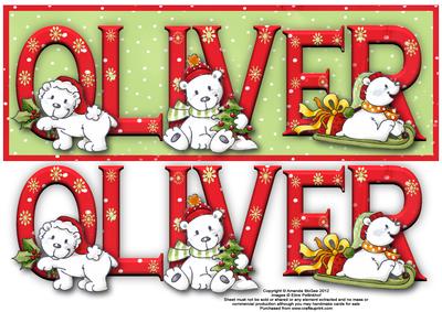 Polar Bears Oliver Large Dl Name Card