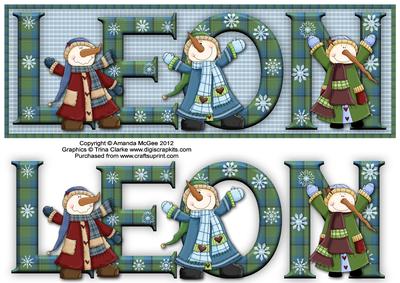 Snowman Fun Leon Large Dl Name Card